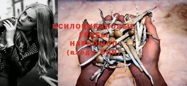 молекула духа Абдулино